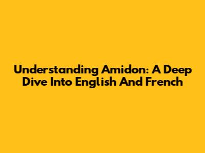 Understanding Amidon: A Deep Dive Into English And French