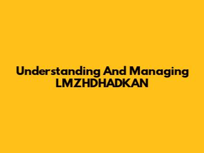 Understanding And Managing LMZHDHADKAN