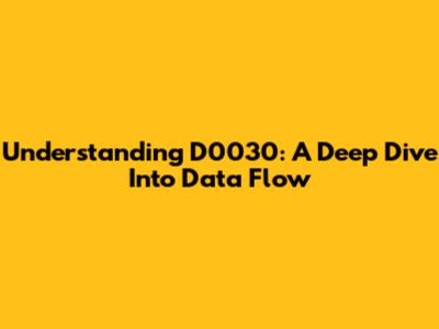 Understanding D0030: A Deep Dive Into Data Flow