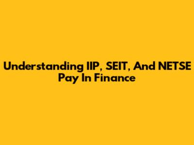 Understanding IIP, SEIT, And NETSE Pay In Finance