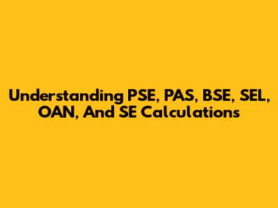 Understanding PSE, PAS, BSE, SEL, OAN, And SE Calculations