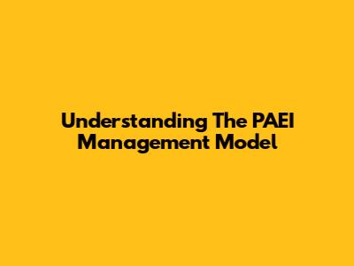 Understanding The PAEI Management Model