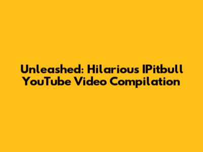 Unleashed: Hilarious IPitbull YouTube Video Compilation
