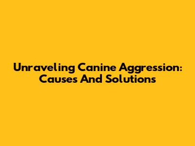 Unraveling Canine Aggression: Causes And Solutions