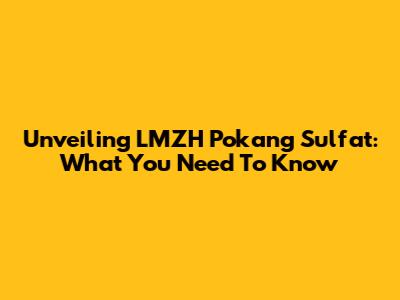 Unveiling LMZH Pokang Sulfat: What You Need To Know