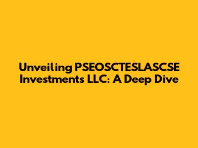 Unveiling PSEOSCTESLASCSE Investments LLC: A Deep Dive