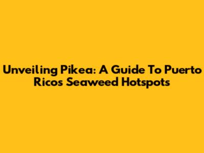 Unveiling Pikea: A Guide To Puerto Rico's Seaweed Hotspots