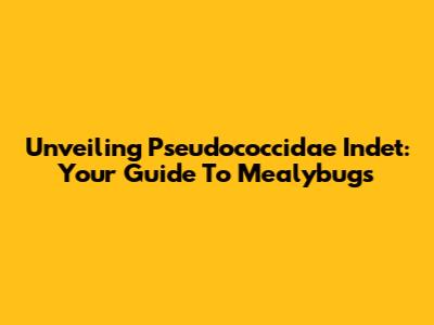 Unveiling Pseudococcidae Indet: Your Guide To Mealybugs