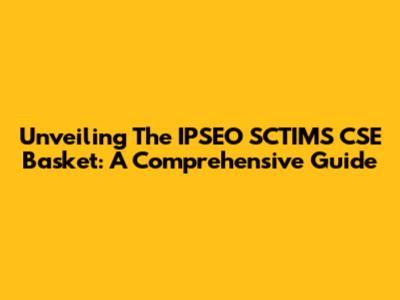 Unveiling The IPSEO SCTIMS CSE Basket: A Comprehensive Guide