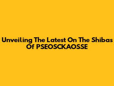 Unveiling The Latest On The Shibas Of PSEOSCKAOSSE