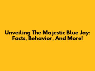 Unveiling The Majestic Blue Jay: Facts, Behavior, And More!