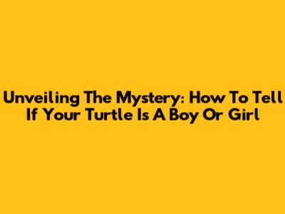 Unveiling The Mystery: How To Tell If Your Turtle Is A Boy Or Girl