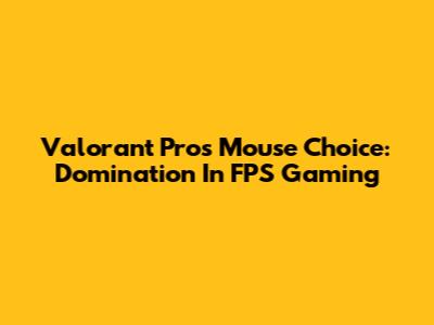 Valorant Pros' Mouse Choice: Domination In FPS Gaming