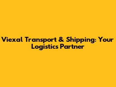 Viexal Transport & Shipping: Your Logistics Partner