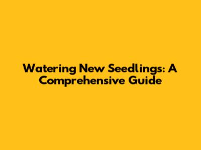 Watering New Seedlings: A Comprehensive Guide