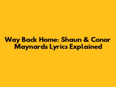Way Back Home: Shaun & Conor Maynard's Lyrics Explained