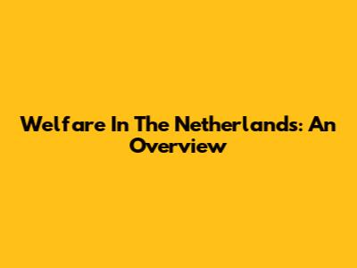 Welfare In The Netherlands: An Overview