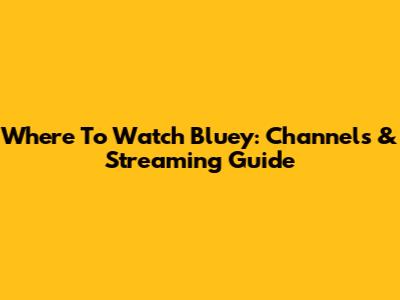 Where To Watch Bluey: Channels & Streaming Guide