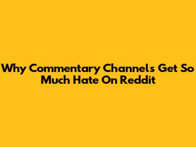 Why Commentary Channels Get So Much Hate On Reddit